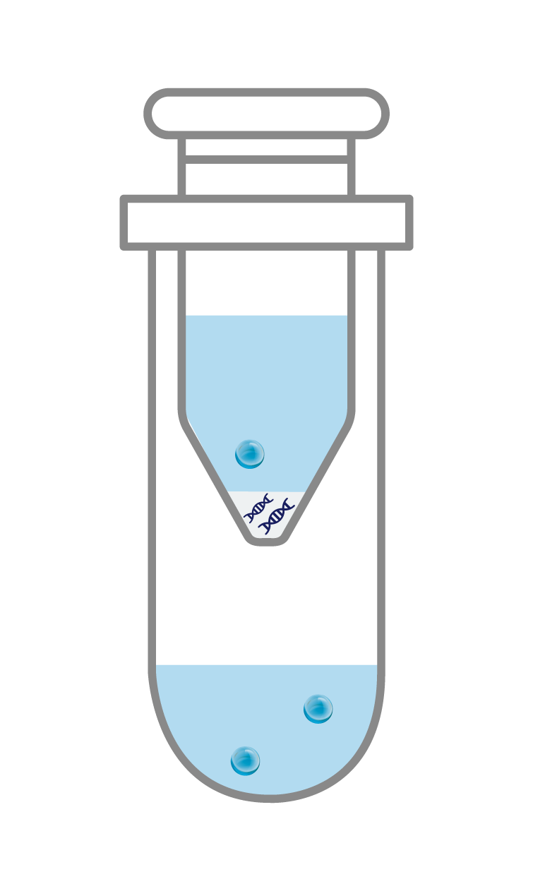 수정 후_AccuBlood DNA Prep Kit_Experimental Procedure_DNA Extraction_4_Add Washing buffer 2