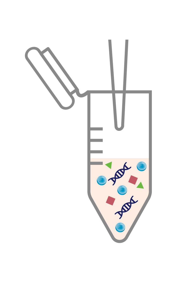 수정 후_AccuBuccal DNA Prep Kit_Experimental Procedure_DNA Extraction_1_Add Binding buffer