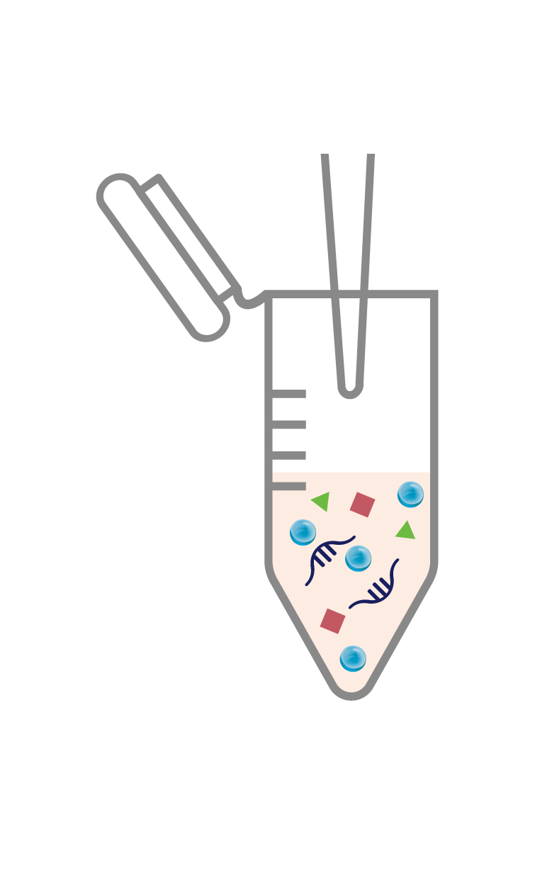 수정 후_AccuViral RNA Prep Kit_Experimental Procedure_Viral RNA Extraction_1_Add Binding buffer